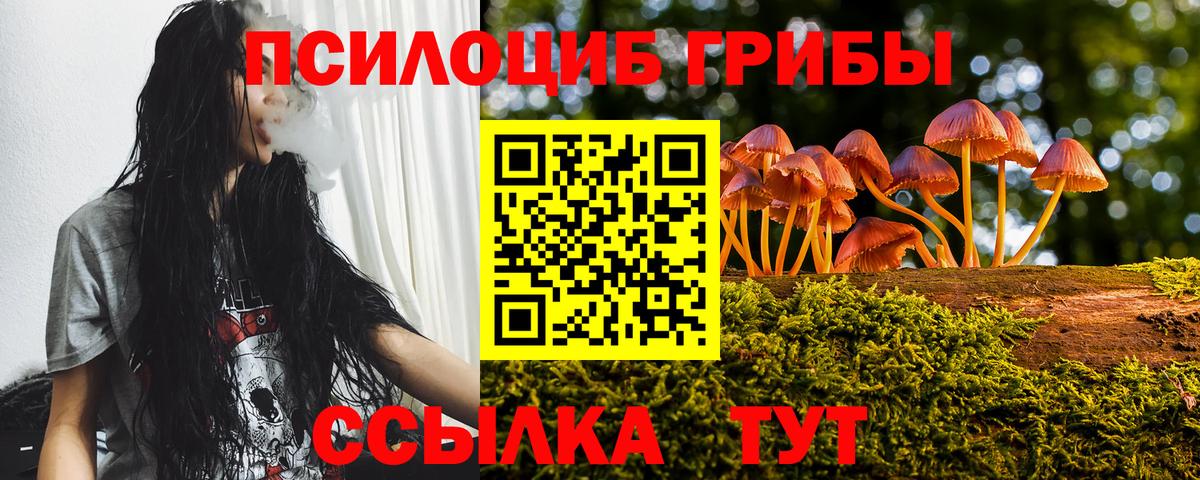 как найти   Вход с VPN  Псилоцибиновые грибы ЛСД  Самара  Псилоцибиновые грибы GOLDEN TEACHER 